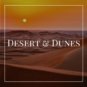 dessert-&-dunes