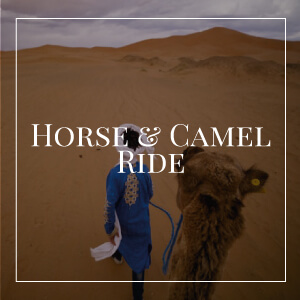 horse-and-camel-ride